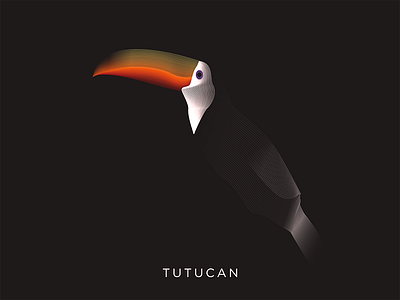 TUTUCAN adobe animals art artwork bird design illustrator line lineart photoshop studio vector
