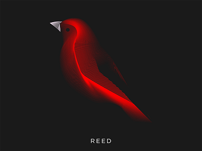 REED adobe animals art artwork bird design illustrator line lineart red studio vector