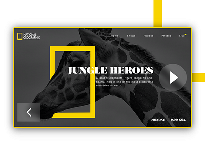 National Geographic adobe photoshop adobe xd design illustration redesign ui ux web web design website design