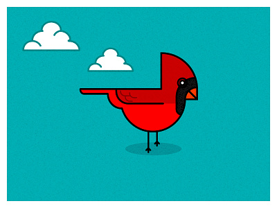 cardinal bird illustration