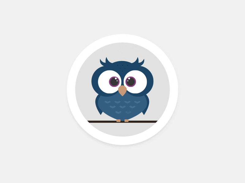Subtle Owl Movement Animation animation design dribbble exercise flat flinto gif illustration shot sketch app vector