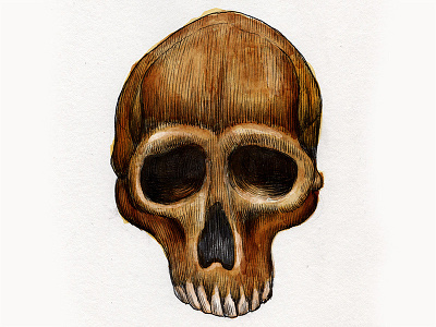 skull3 drawing hand drawn inking kzloty print