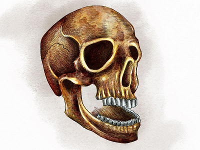 skull4 drawing