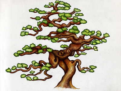 Bonsai charityproject drawing inking kzloty pen print tree