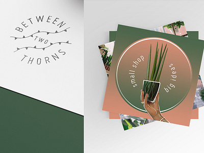 Between Two Thorns branding design illustration logo typography vector website