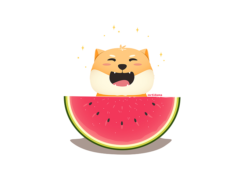 Shiba Inu X Watermelon By Tien Mai On Dribbble