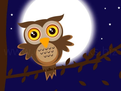 Night Owl Vector