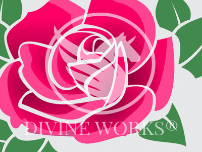 Rose Flower Vector Illustration