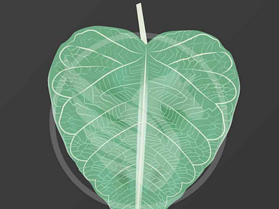 Free Adobe Illustrator Leaf Vector Illustration