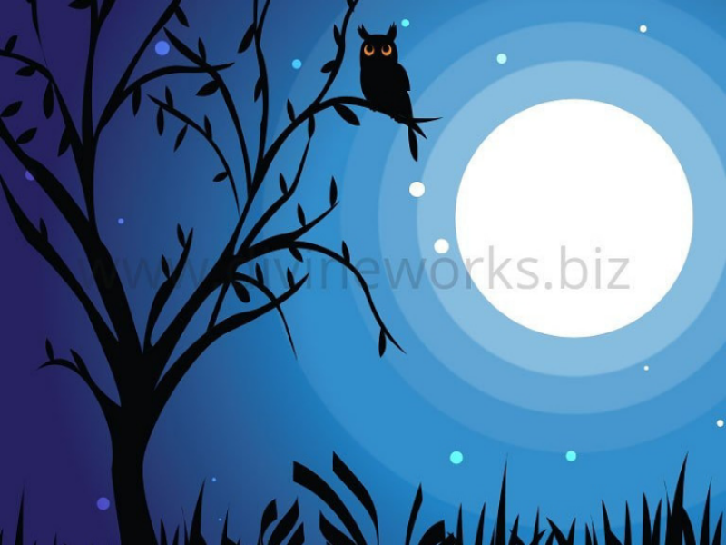 Free Beautiful Adobe Illustrator Moonlit Sky Vector Illustration adobe illustrator vector illustration graphic design