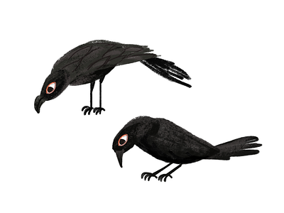 Bird Charchterdesign animal animation bird cutout illustration