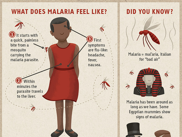 malaria-infographic-by-josh-lewis-on-dribbble