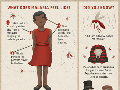 Malaria Infographic child children icons illustration infographic malaria mosquito