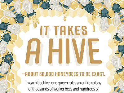 It Takes a Hive book children design hive honey honeybees honeycomb illustration kidlit kidlitart kids picture book queen bee science typography