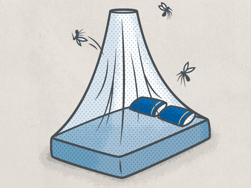 Mosquito Net by Josh Lewis on Dribbble