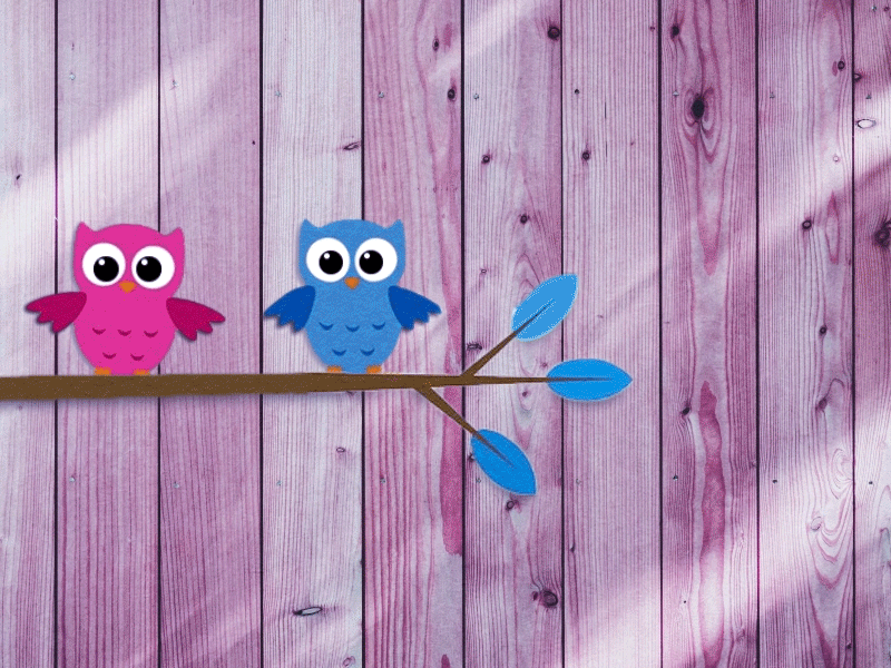 Owl Couple adobe aftereffects animation design flat gif illustration loop motion papercut stop motion stop motion texture ui ux