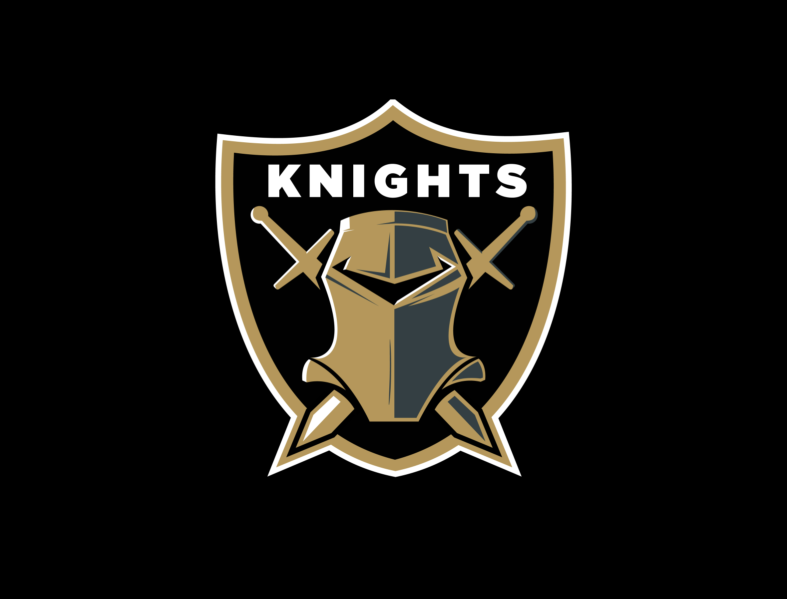 Vegas Golden Knights / Raiders by Sam Harachis on Dribbble