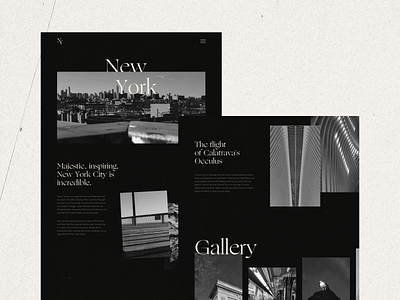 New-York Photography Website Concept