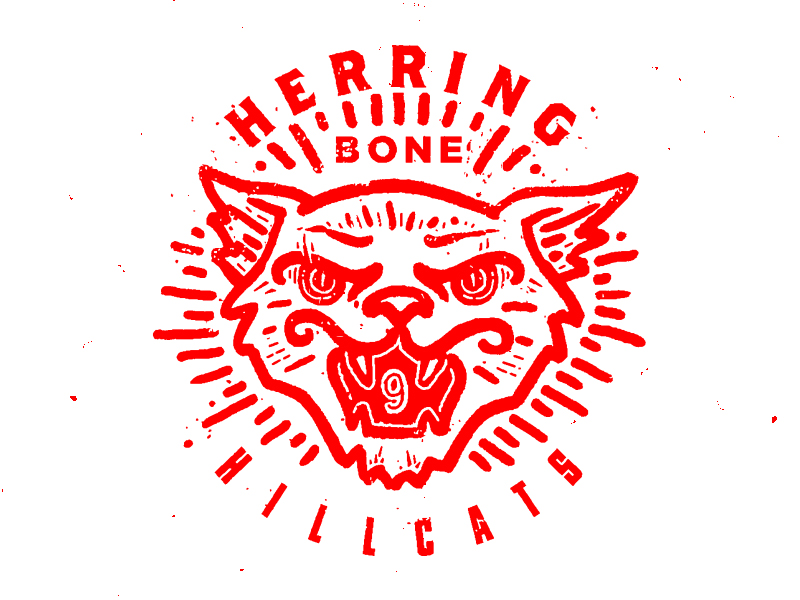 Herringbone Hillcats by Nick Agin for Plaid on Dribbble