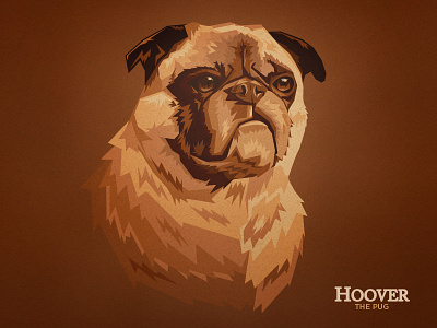 Hoover The Pug dog illustration pug