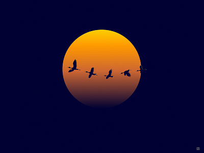 Flight adobe illustrator birds illustration minimalist mood vector illustration vectorart