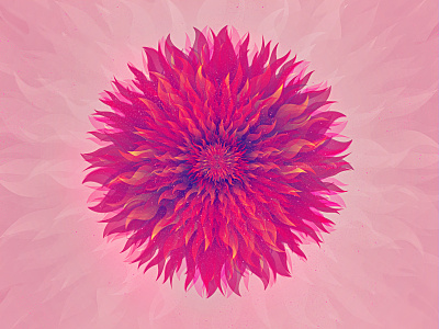 Radiate dahlia fire flower gradient ilustration light pattern petals pink purple shapes spiritual