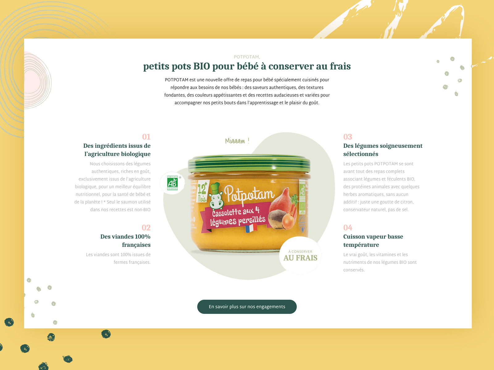 Potpotam Website By Newquest On Dribbble