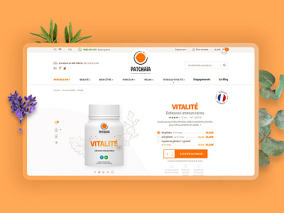 Patchaïa - Website art direction branding design ecommerce illustration newquest ui ux web website