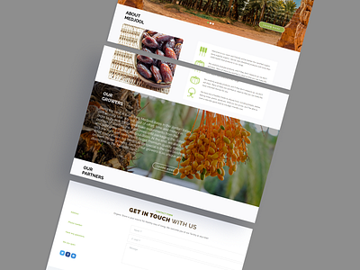 Al Wadi Farms | Homepage design mockups palestine ui uidesign uiux ux ux design webdesign website design