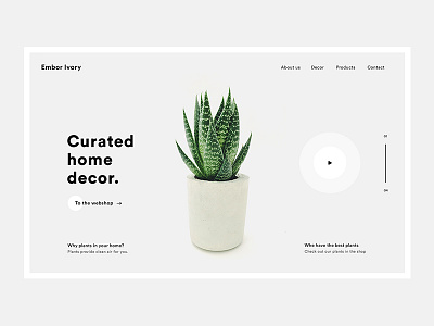 Curated Home Decor beautiful clean curated decor green home minimal plant white