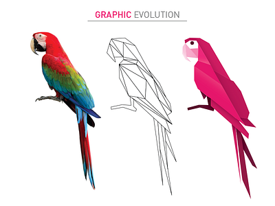 Parrot animals colors creativity graphic idea illustration parrot polygonal pink