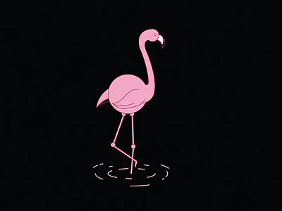 Flamingo design flamingo illustration vector vector illustration