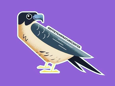 Wek’ Wek the Peregrine Falcon animals bird birds falcon illustration illustrator nature nature center peregrine peregrine falcon sacramento sticker sticker art sticker design stickers vector vector art