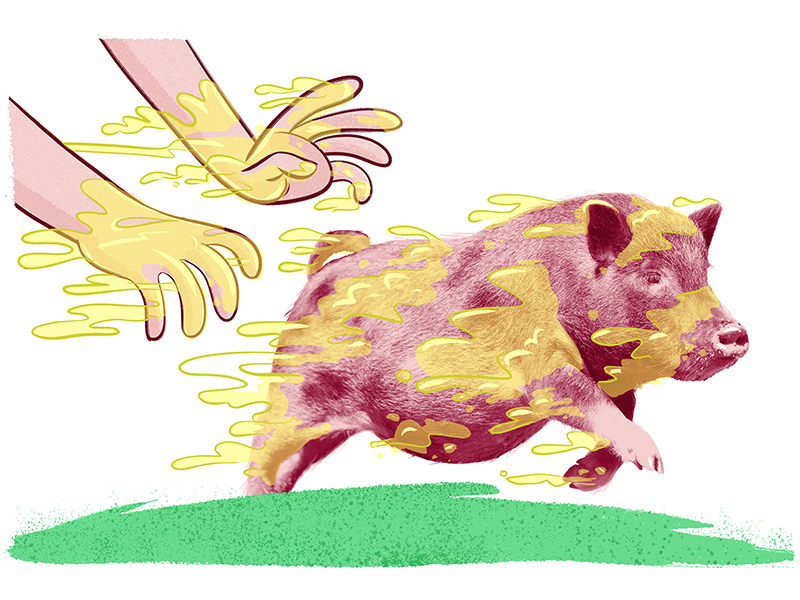 Minnesota Weird State Laws By Jason Hoffman On Dribbble minnesota-weird-state-laws-by-jason-hoffman-on-dribbble