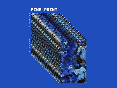 Fine Print: Issue 1