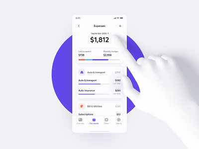 Budgeting app app design budgeting budgeting app credit credit score finance finance analytics financial app mobile app monthly payment product design subscription