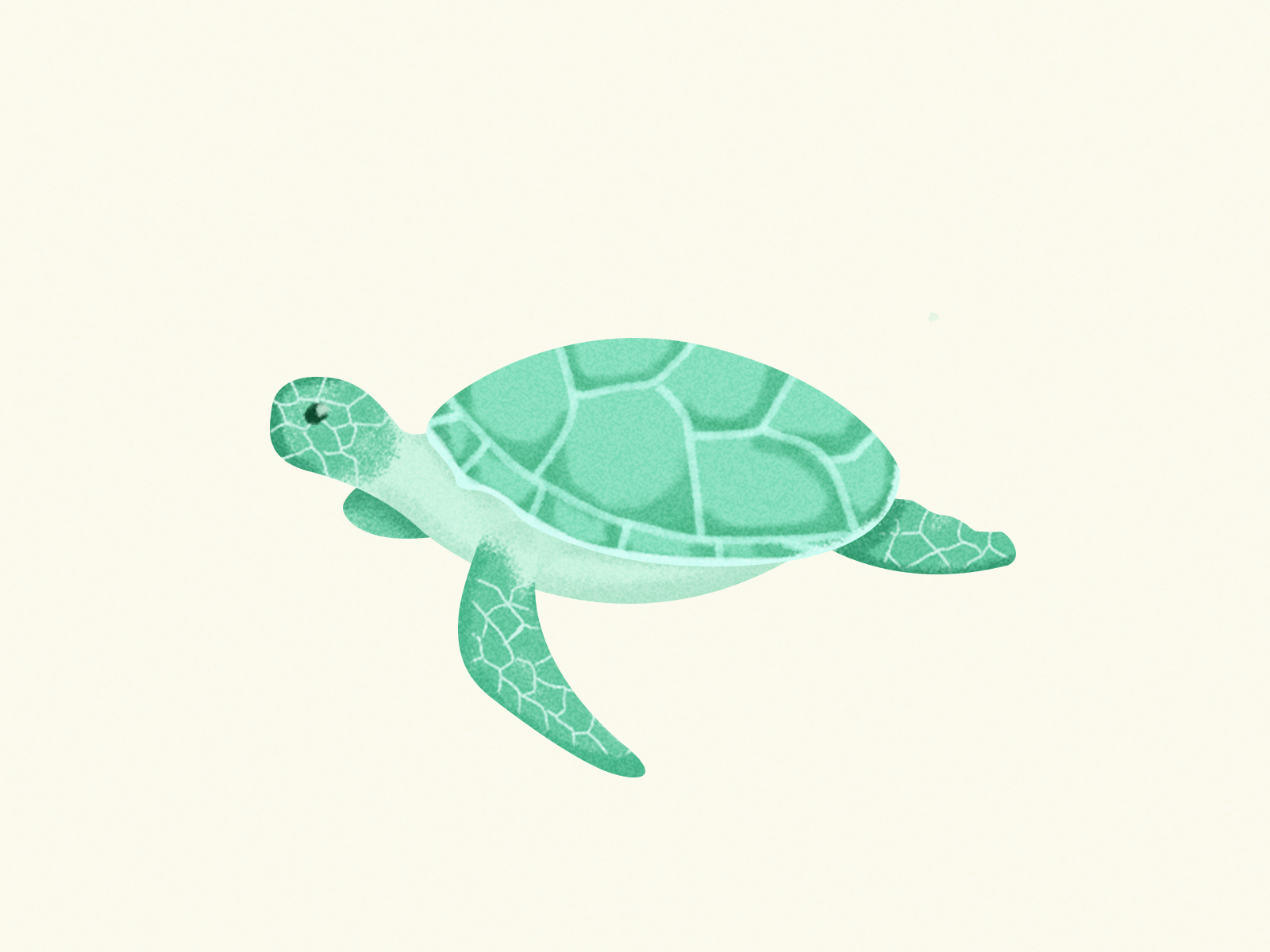 Day 14 - Green Turtle by Cooper Huang on Dribbble