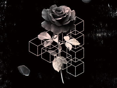 Rose album art collage line art texture
