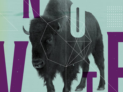 TTFF bison collage geometry texture