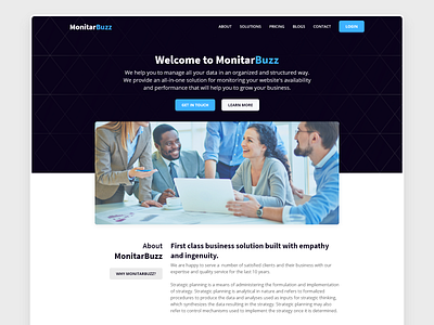 MonitarBuzz - Landing Page Design
