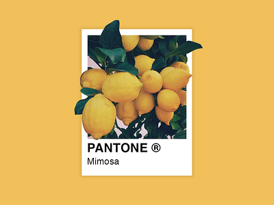 My favorite color of Pantone. art design flat graphicdesigner illustration manipulation minimal