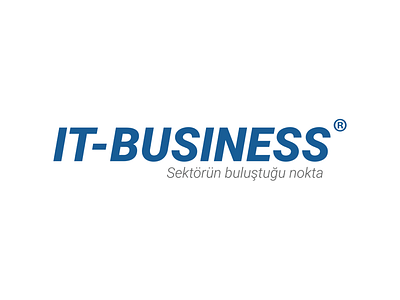 IT-BUSINESS Logo Design logo design