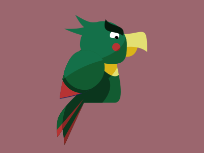 grumpy parrot animal bird cartoon cute grumpy parrot