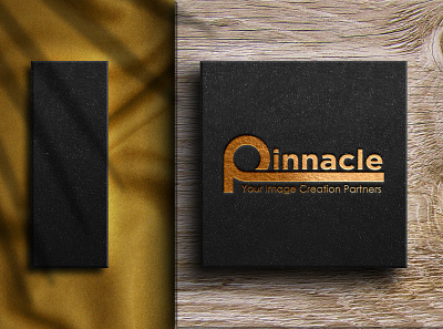 Pinnacle Client Logo Design animation app branding design identity illustration photoshop typography ui ux vector website