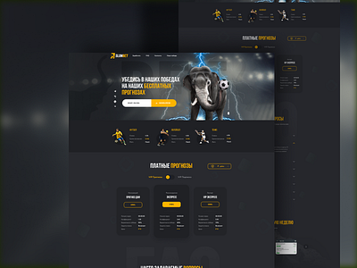 Slon bet betting design landing page lp sport website