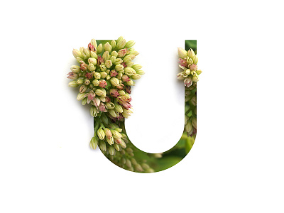 Blooming Font