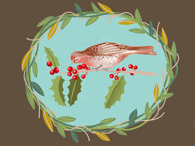 Holly Bird bird illustration christmas cards digital art editorial art holiday holly illustration winter