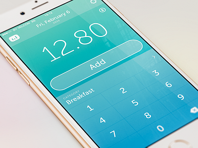 Money Tracker app interface iphone mobile tracker ui ux