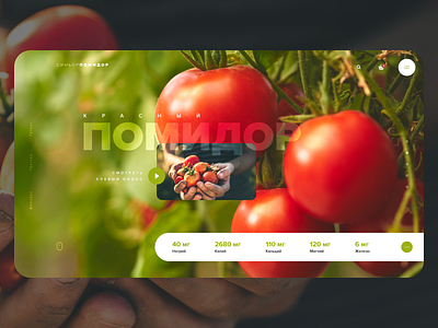 tomato design food fruits green red tomato typography ui ux vegetables