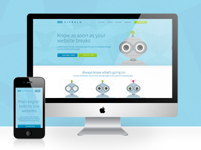 Citrulu Responsive Design testing web design web development